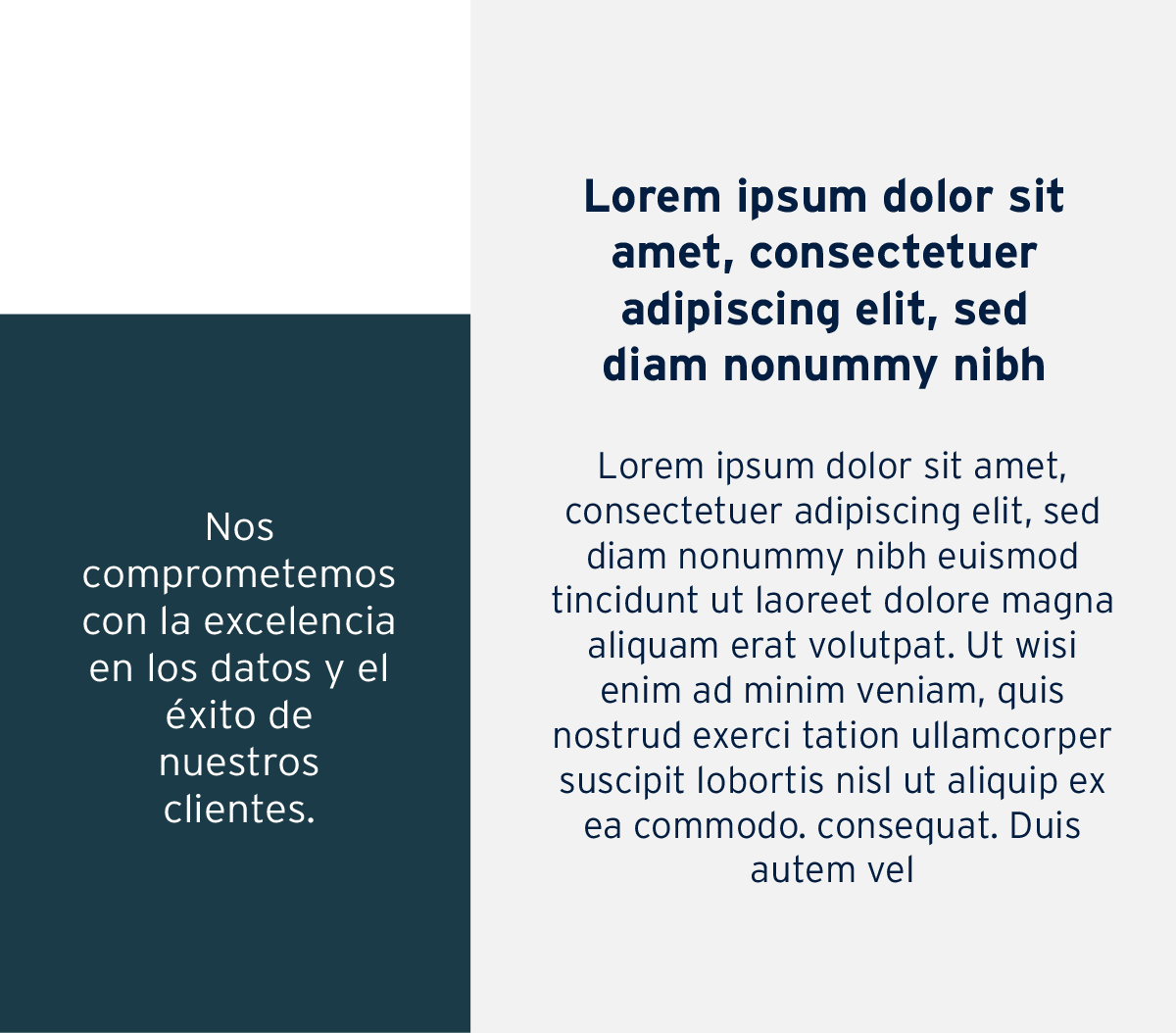 seccion servicio nuevo 1