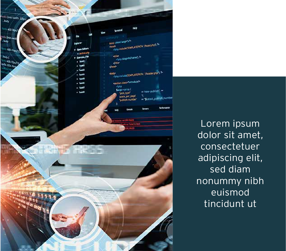 seccion servicio nuevo 2 data